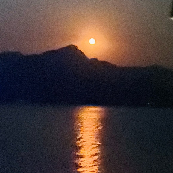 Meet your Posher, Wayne - Picture 8 of 9